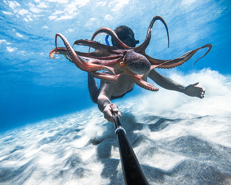 - GoPro News underwater selfie day - ภาพที่ 1