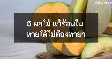ผลไม้คลายร้อน - 5 fruits that keep the heat cover - ภาพที่ 11