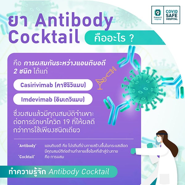 - PR9 Antibody Cocktail 02 1 - ภาพที่ 1