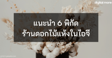 - dried flowers instagram cover - ภาพที่ 39