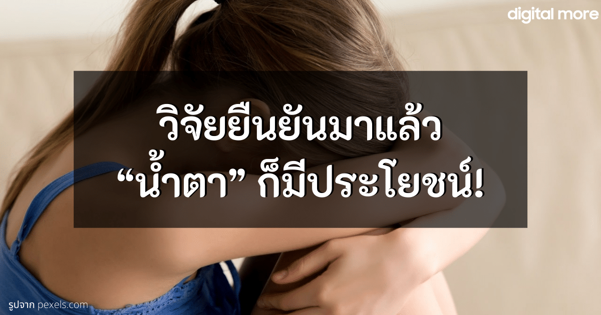 - how crying is good cover - ภาพที่ 1