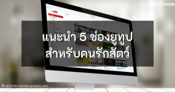- 5 animal youtube channels cover - ภาพที่ 19