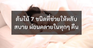 plants helping you to sleep better cover ภาพที่ 1
