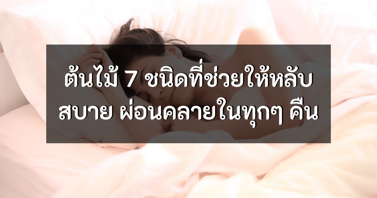 - plants helping you to sleep better cover - ภาพที่ 1