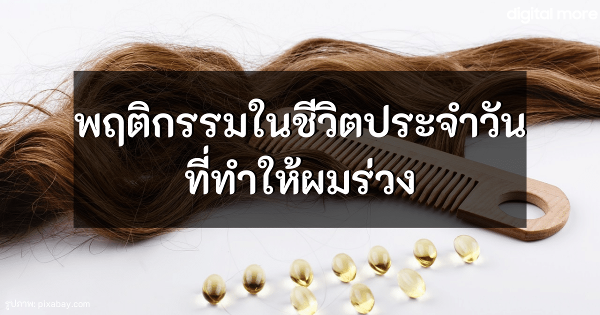 - what behaviours you shouldnt do to avoid hair loss cover - ภาพที่ 1