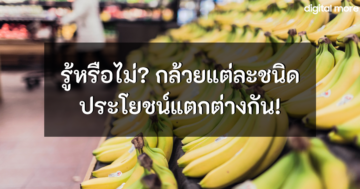 - types of bananas cover - ภาพที่ 1