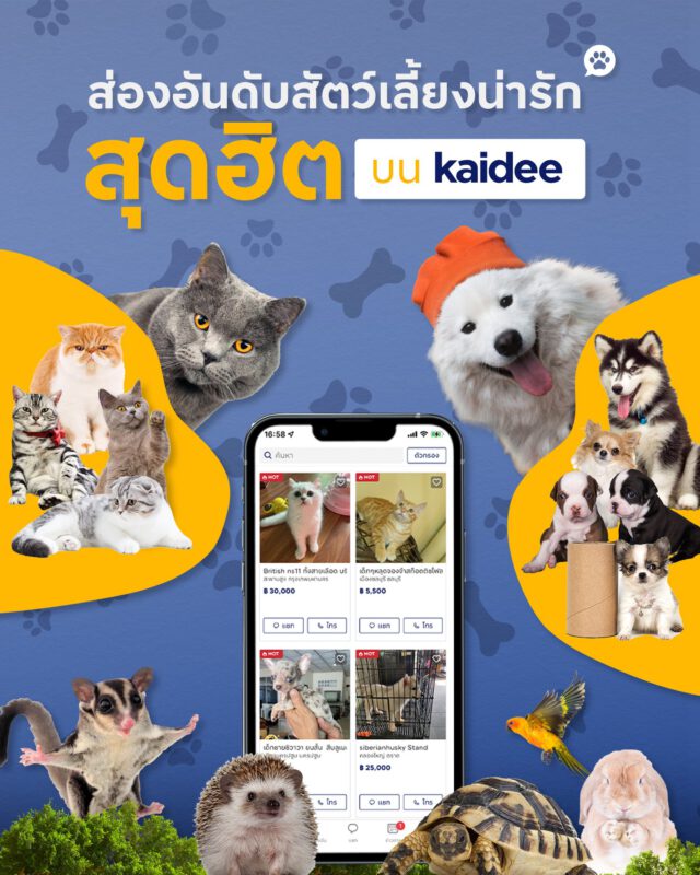 - Kaidee Pet Section tn - ภาพที่ 1