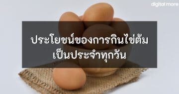 - eating eggs cover - ภาพที่ 1