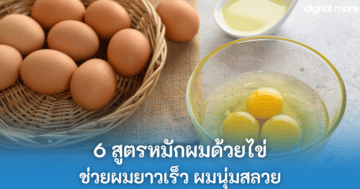 - organic eggs cover - ภาพที่ 35