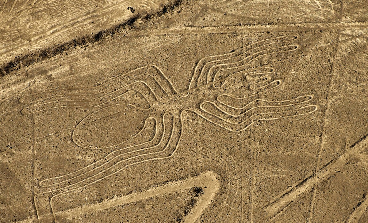 เรื่องแปลก - peru nazca lines spider - ภาพที่ 9