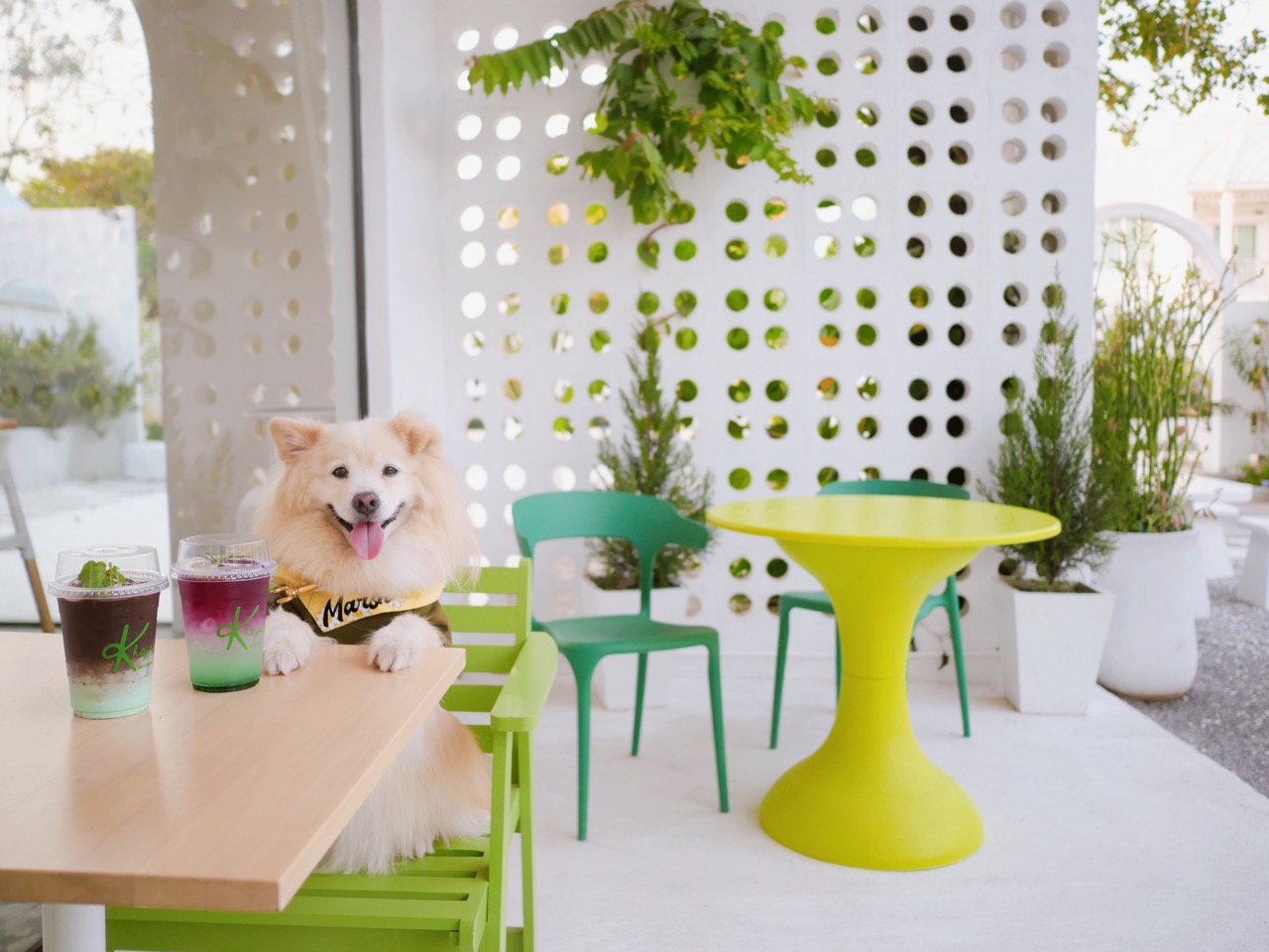 10 คาเฟ่หัวหินอัปเดตปี 2023 วิวสวย กาแฟดี มุมถ่ายรูปเพียบ! 6