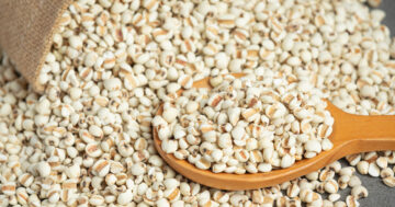 อาหารบรรเทาอาการเจ็บคอ - heap millet seeds dark background - ภาพที่ 9
