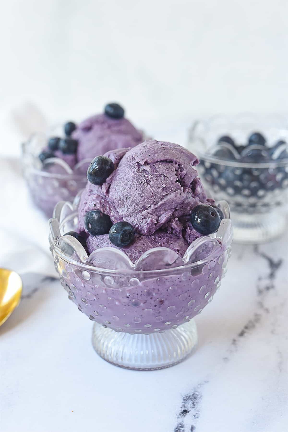 สูตรไอศกรีมโฮมเมด - Blueberry ice cream 5 - ภาพที่ 5