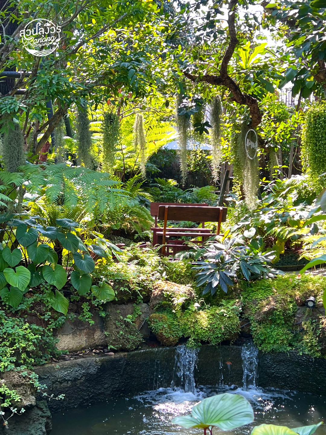 5 คาเฟ่ระนอง บรรยากาศดี นั่งชิลล์ได้ทั้งวัน มุมถ่ายรูปเพียบ 2