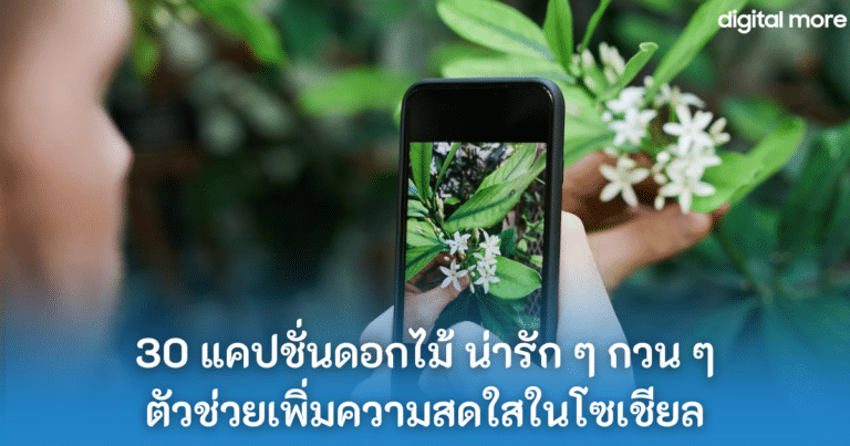 30 แคปชั่นดอกไม้ น่ารัก ๆ กวน ๆ ตัวช่วยเพิ่มความสดใสในโซเชียล | Digital ...