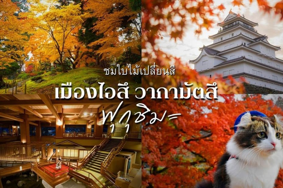 MAY PR 2026 09 21 195418 รีบไปก่อนแมส! เต็มอิ่มกับ 5 จุดชมใบไม้เปลี่ยนสี ณ เมืองไอสึ วากามัตสึ จังหวัดฟุกุชิมะ