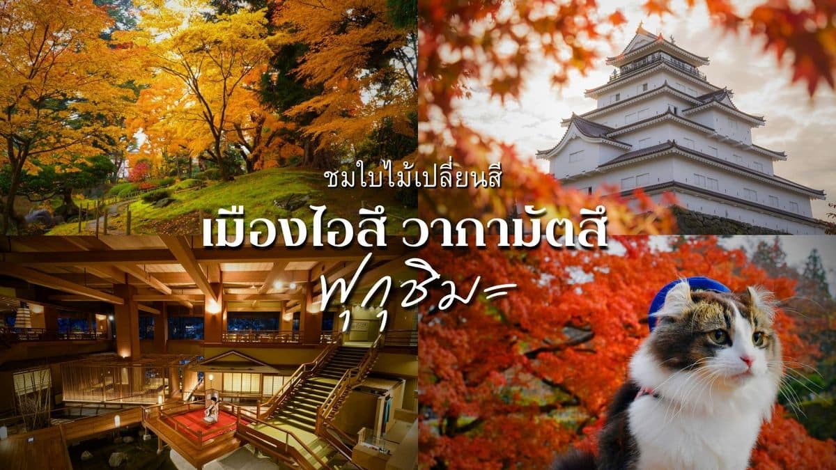 รีบไปก่อนแมส! เต็มอิ่มกับ 5 จุดชมใบไม้เปลี่ยนสี ณ เมืองไอสึ วากามัตสึ จังหวัดฟุกุชิมะ