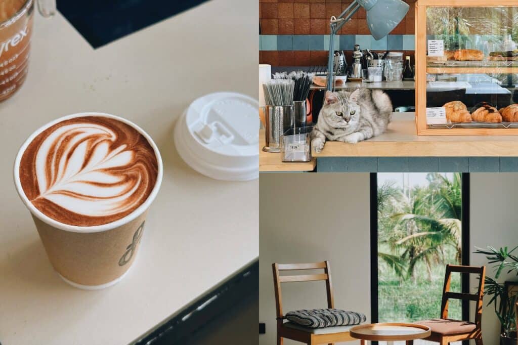 ปักหมุดเช็กอิน 7 คาเฟ่โคราชอัปเดตปี 2026 ร้านน่ารัก บรรยากาศดี ถ่ายรูปสวยทุกมุม! 1